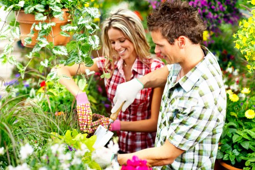 Local hedge maintenance for homes and businesses in Raynes Park