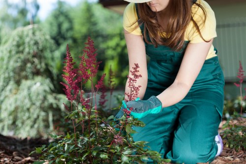 Free quote policy for tree surgery services in Raynespark
